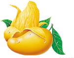Fresh fruit