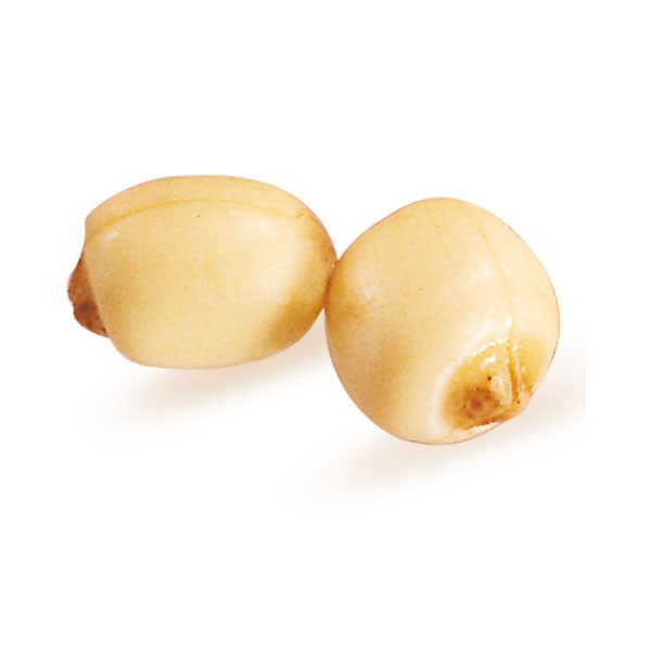 Lotus Seeds view 3