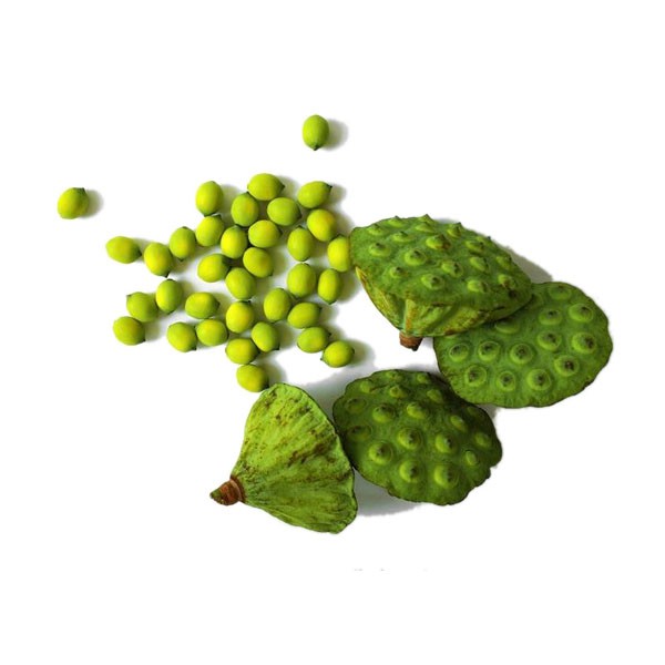Lotus Seeds view 6
