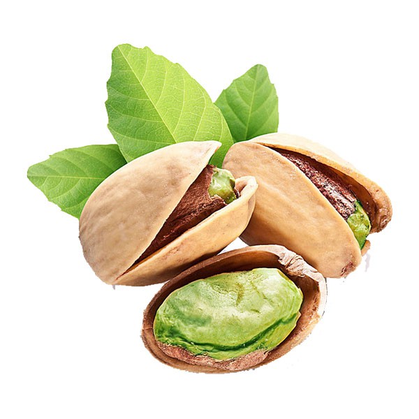 Pistachio view 3